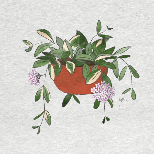 Hoya Carnosa in Red Pot by ALaTati